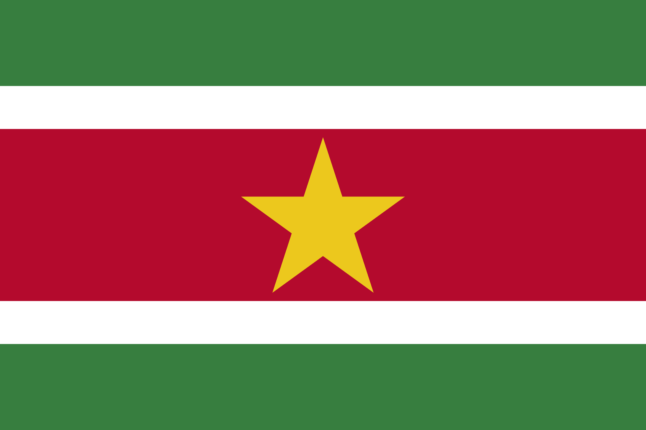 スリナムの旗 世界の国旗